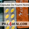 Black Ant Capsules 42